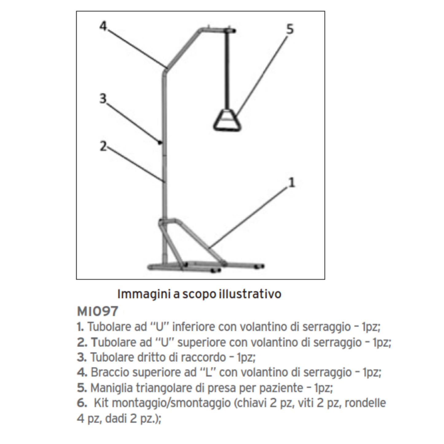 Alzamalati da Terra Piantana Moretti Tulipano MI097
