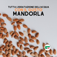 Bolero Drink Istantaneo Almond 24 Bustine (Mandorla)